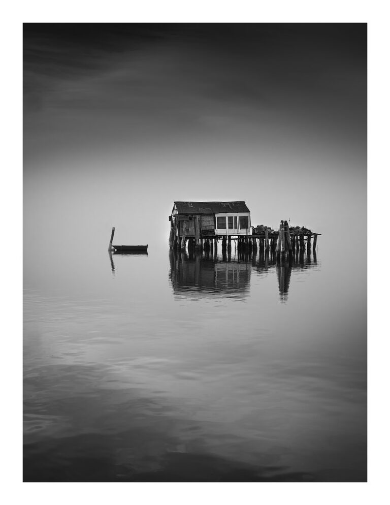 Misty Reflections: Serenity in Monochrome Waters