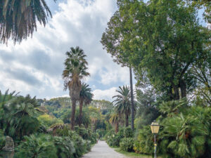 Orto Botanico in Rome