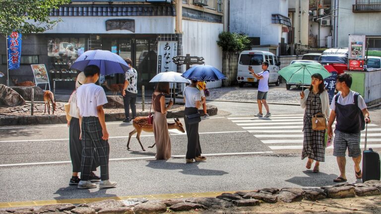 City Crosswalks and Sika Deer: The Everyday Magic of Miyajima, Japan