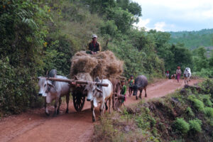 Caravan in Taunggyi