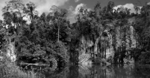 Bukit Batok Nature Park in Singapore