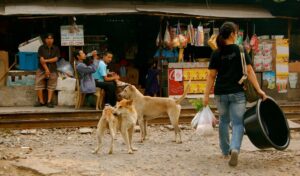 Klong Toei Market in Bangkok